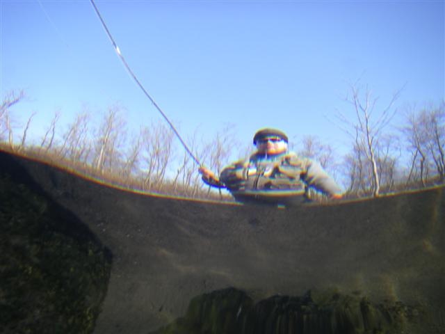 IMGP2198_